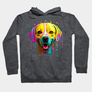 Pawsible Drips! Hoodie